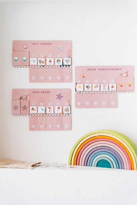 Grundschule Starterset A3 Wildblume inkl. 525 Symbole