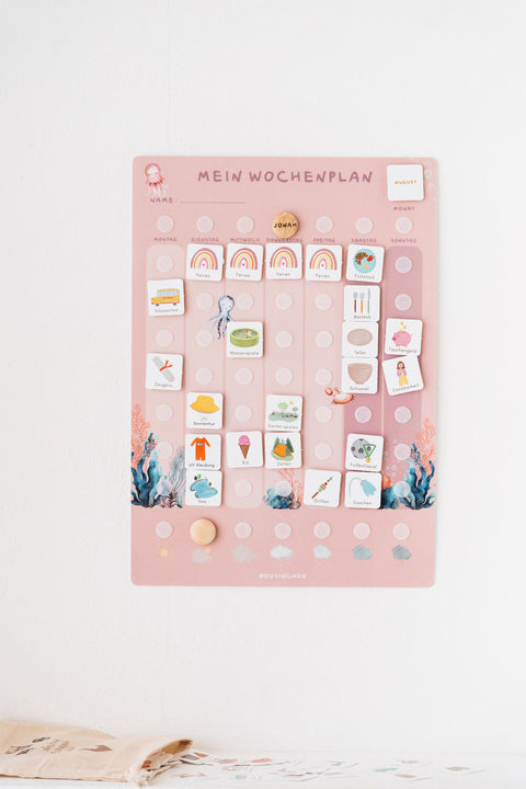 Grundschule Starterset A3 Wildblume inkl. 525 Symbole