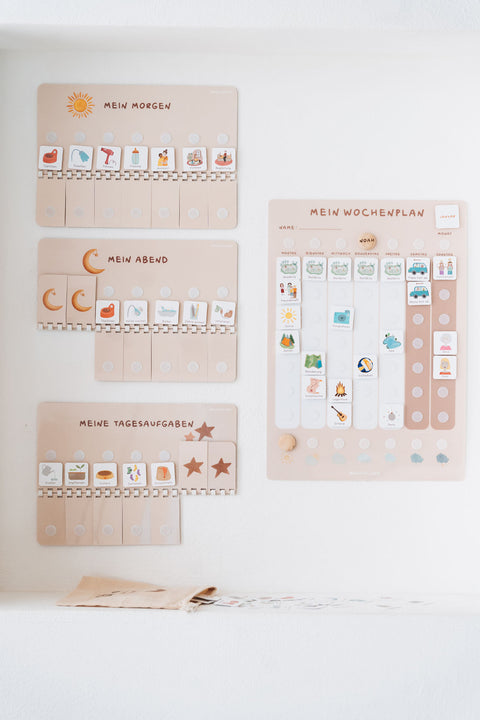 Grundschule Starterset A3 Beige inkl. 525 Symbole