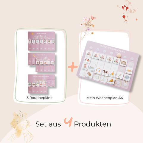 Routinchen Starterset WILDBLUME inkl. 525 Symbole